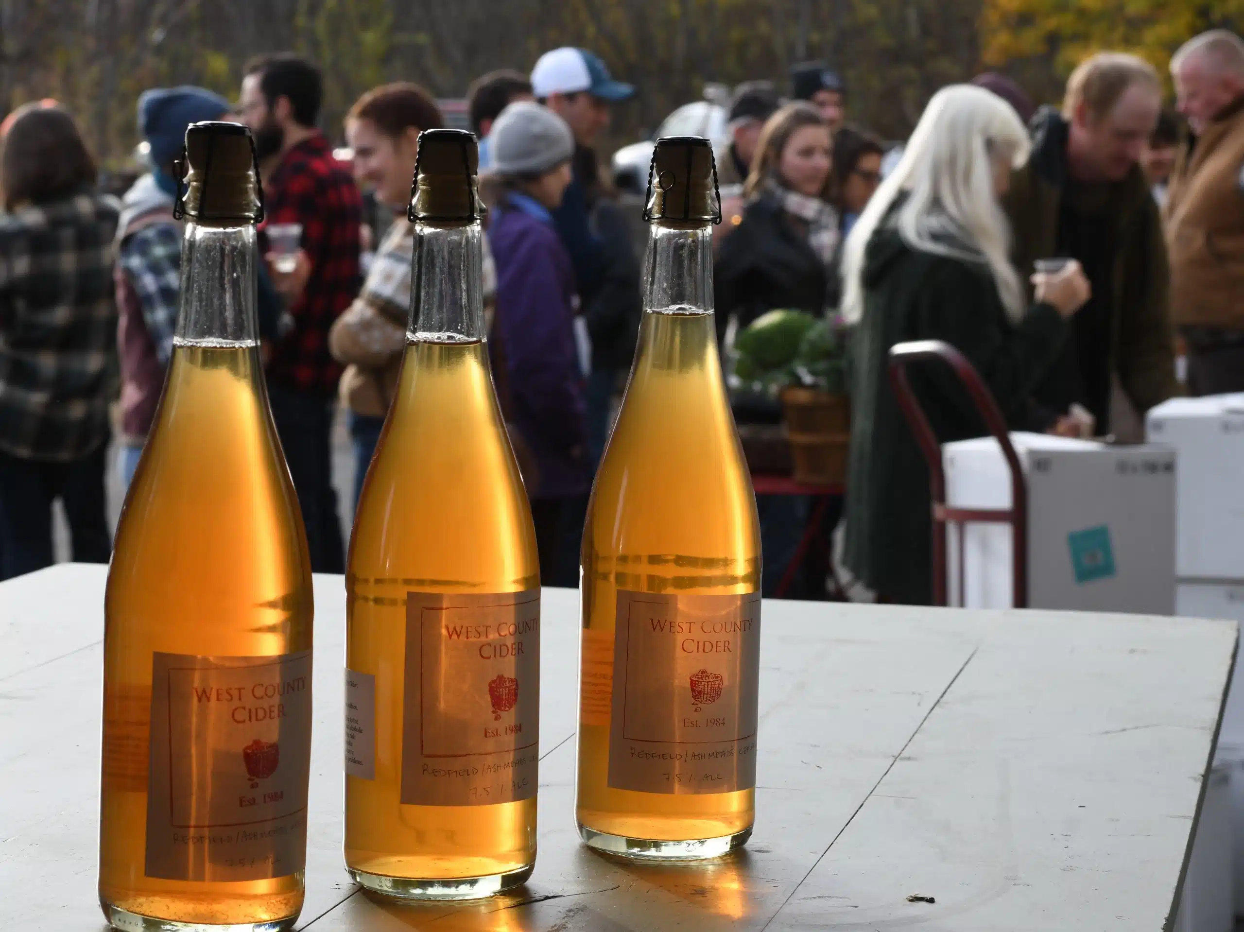 20 Best New England Cideries