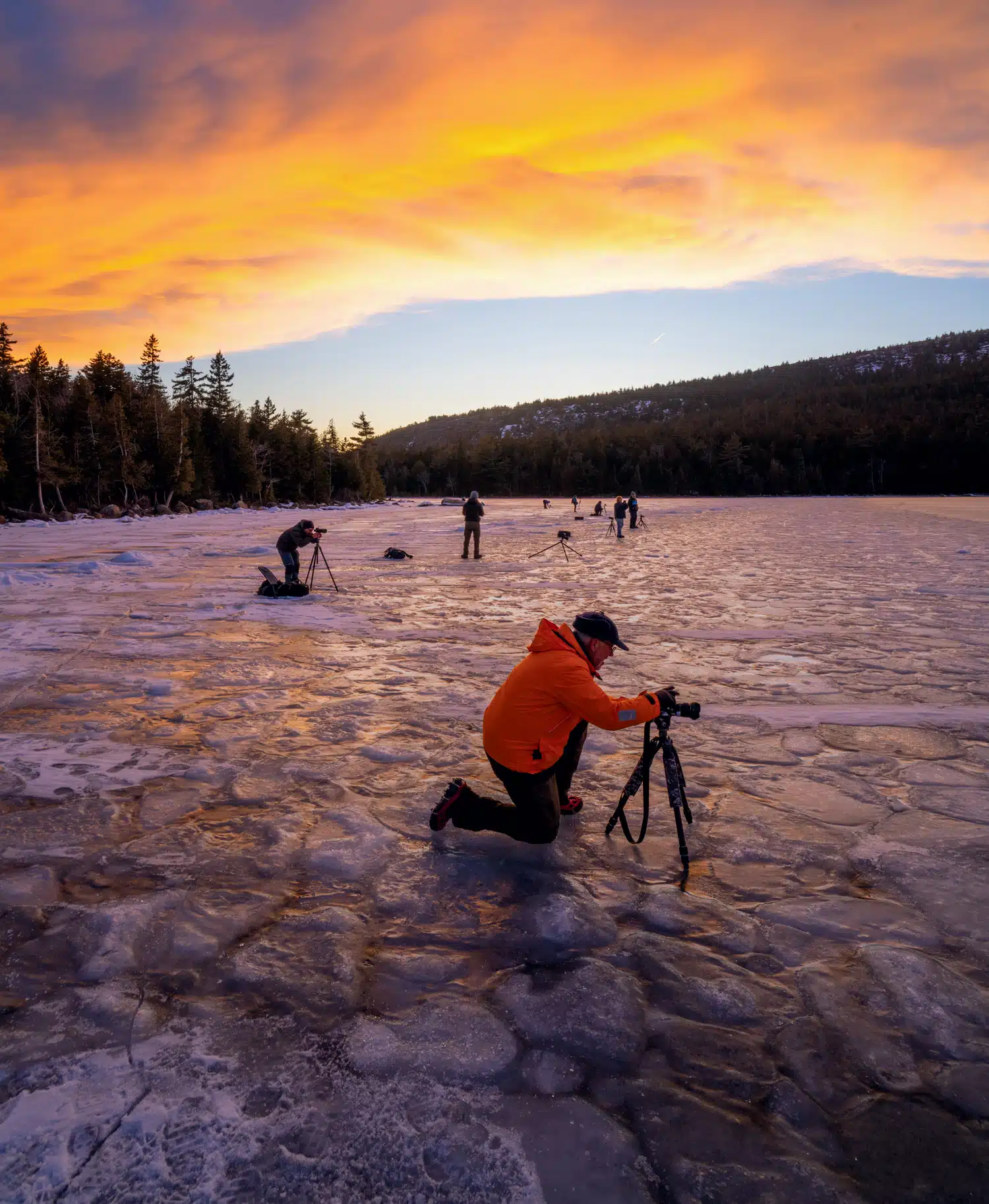 The Quiet Beauty of Acadia National Park in Winter