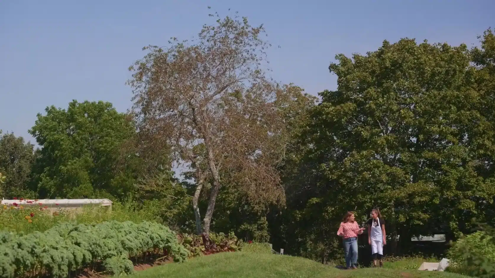 “Weekends with Yankee” Episode 806: New England’s Great Outdoors