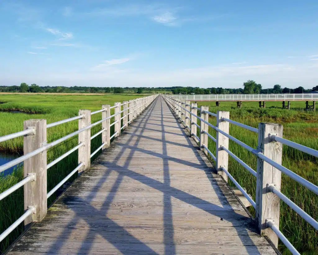 A long wooden boardwalk with white railings stretches through green marshland under a blue sky with scattered clouds.