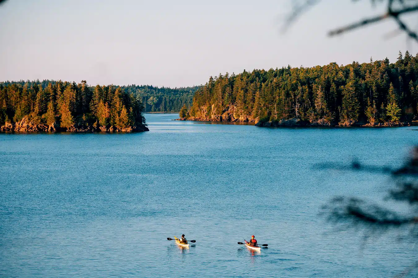 Beyond Acadia | A Summer Exploration of Coastal Northern Maine