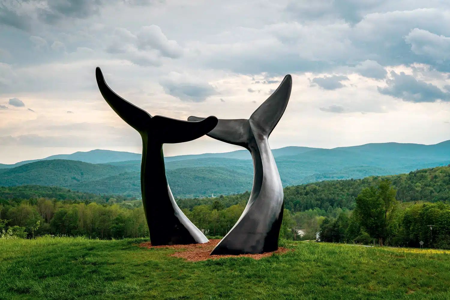 Up Close: Vermont’s Whale Tail Sculpture